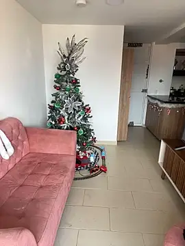 DakotaShelby online show from 12, 12, 2024