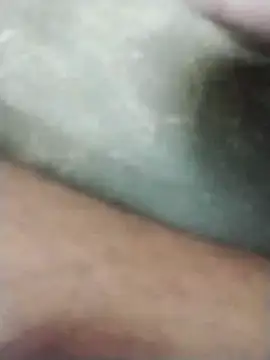 Snapshot of polamvariya chatting on 20, 11, 2025 polamvariya online show from 20, 11, 2025