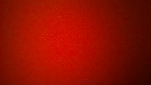 Porzz-6 online show from 3, 2, 2026