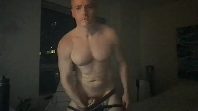 Gingerbushguy online show from 22, 12, 2024