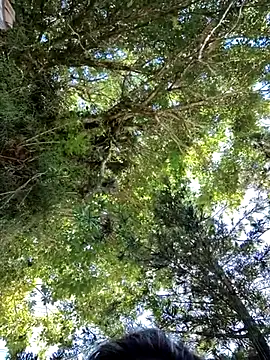 giselxxx hot online show from 12, 3, 2025