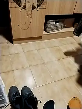 minitranca online show from 28, 10, 2025