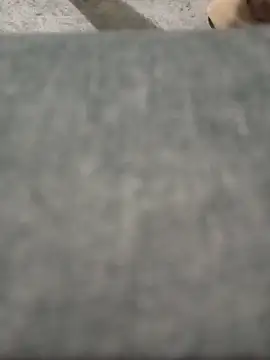 strip 1212 online show from 26, 3, 2026