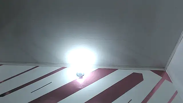 Kitten Hot  online show from 18, 12, 2025