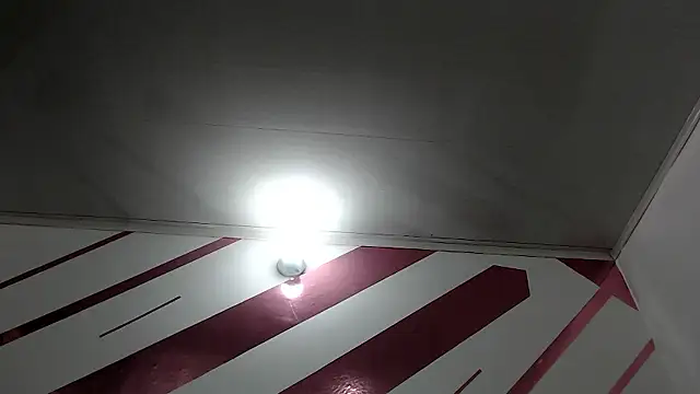 Kitten Hot  online show from 10, 1, 2026