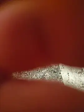 Warumnicht1980 online show from 13, 11, 2025