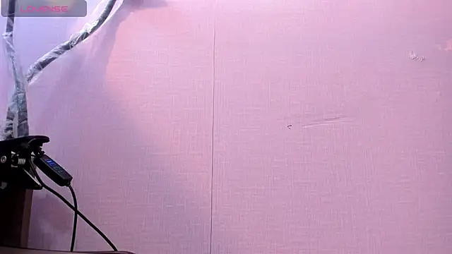 alice  tylor online show from 26, 1, 2025