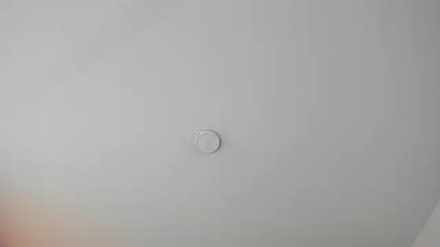 PandoraRider online show from 12, 4, 2026