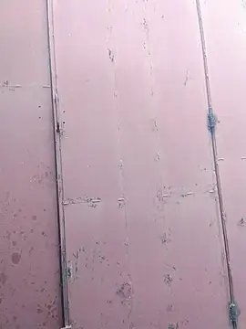 Polygamist online show from 16, 12, 2025