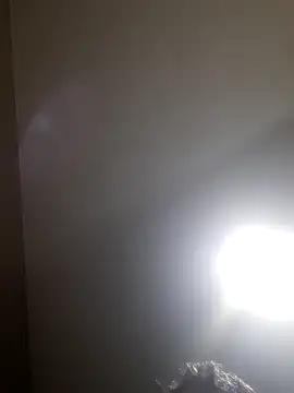 Colorao4 online show from 25, 11, 2025