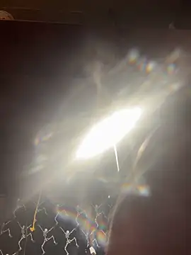 mascmo88 online show from 5, 1, 2026