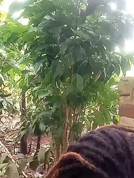 Black juicy24 online show from 26, 1, 2025