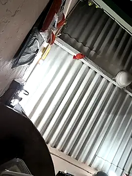 arppyyyxx online show from 22, 10, 2025