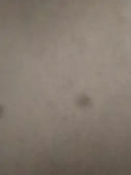 Snapshot of rohitlov150 chatting on 23, 2, 2025 rohitlov150 online show from 23, 2, 2025