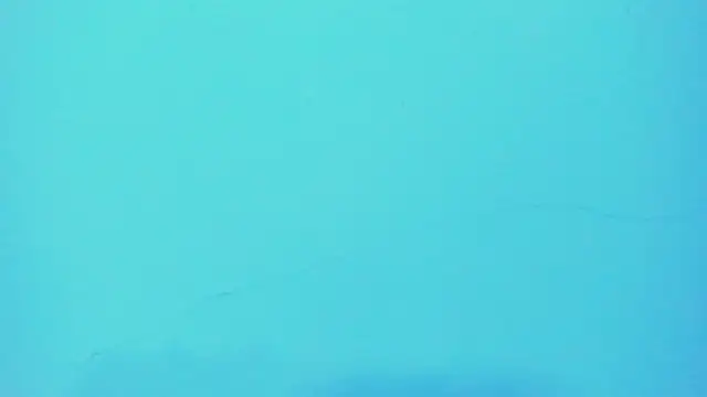  hairybeard  online show from 28, 1, 2025