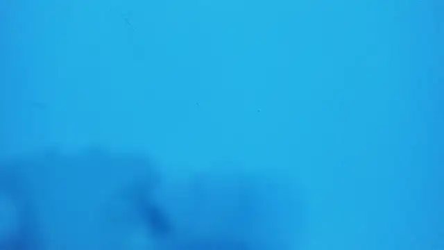  hairybeard  online show from 20, 2, 2025