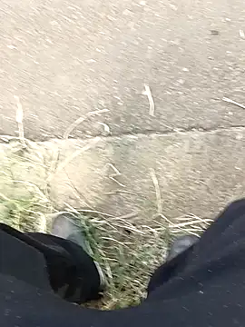 C vas  online show from 11, 12, 2024