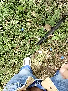 C vas  online show from 7, 3, 2025