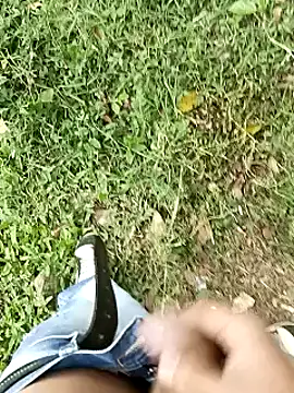 C vas  online show from 11, 3, 2025