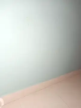 wild bong queen online show from 8, 12, 2024