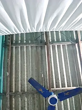 Snapshot of hotbaby_5 chatting on 14, 11, 2025 hotbaby 5 online show from 14, 11, 2025