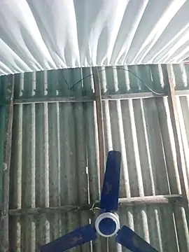 Snapshot of hotbaby_5 chatting on 20, 11, 2025 hotbaby 5 online show from 20, 11, 2025