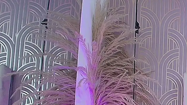 LeylaRangel online show from 25, 10, 2025