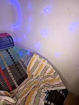 CARKIS-69 online show from 12, 12, 2024