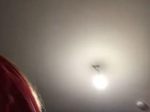 rose bunny online show from 18, 12, 2025