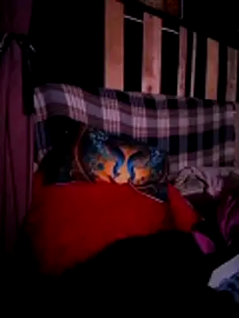 Lovely milk online show from 13, 11, 2025