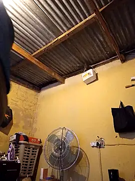 palaza11 online show from 2, 12, 2025