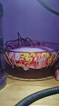 Snapshot of MissyLovexxx chatting on 5, 12, 2024 MissyLovexxx online show from 5, 12, 2024