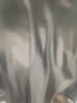 wildsakhi online show from 17, 11, 2025