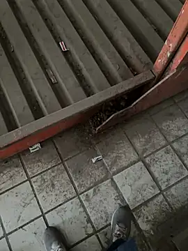 A-mira online show from 21, 3, 2025