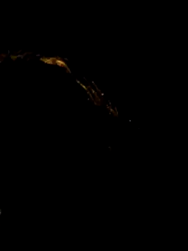 pleasure of life online show from 19, 4, 2026