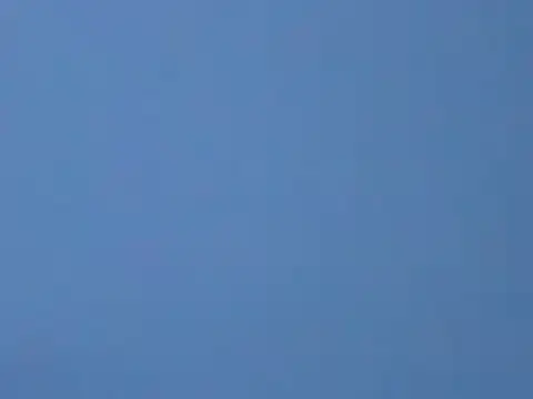 ToonyDee online show from 13, 1, 2025