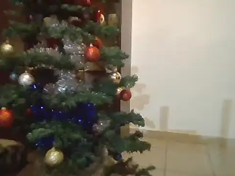 Snapshot of luana63 chatting on 3, 12, 2024 luana63 online show from 3, 12, 2024