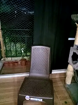 saba the courtesan online show from 6, 11, 2025