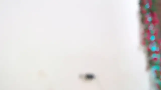 liissa 0 online show from 6, 4, 2026