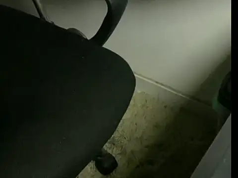 cabine103 online show from 6, 4, 2026