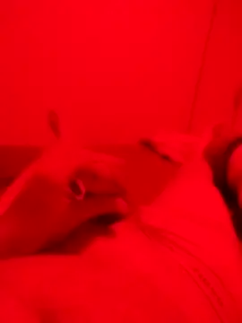 chaucolatier online show from 21, 10, 2025