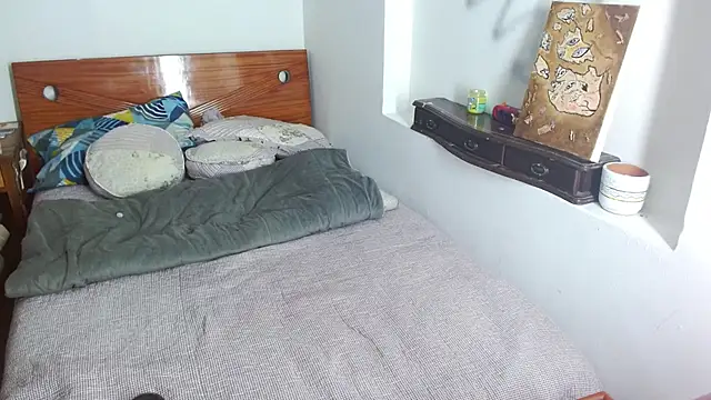 Snapshot of Party_trans chatting on 16, 12, 2024 Party trans online show from 16, 12, 2024