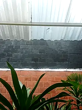 Snapshot of luchoarr chatting on 14, 11, 2025 luchoarr online show from 14, 11, 2025