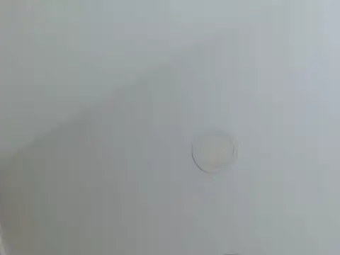 milfevha online show from 26, 2, 2026