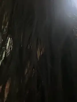 eva sexx69 online show from 13, 3, 2026