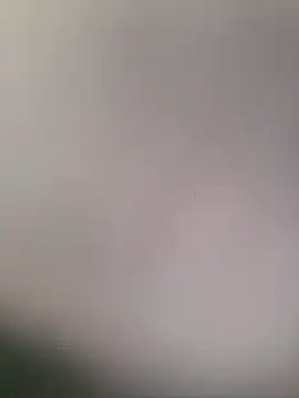 Snapshot of PunchedNorvasc chatting on 4, 12, 2025 PunchedNorvasc online show from 4, 12, 2025