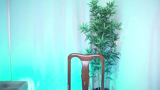 dam0n fr0st online show from 2, 12, 2025