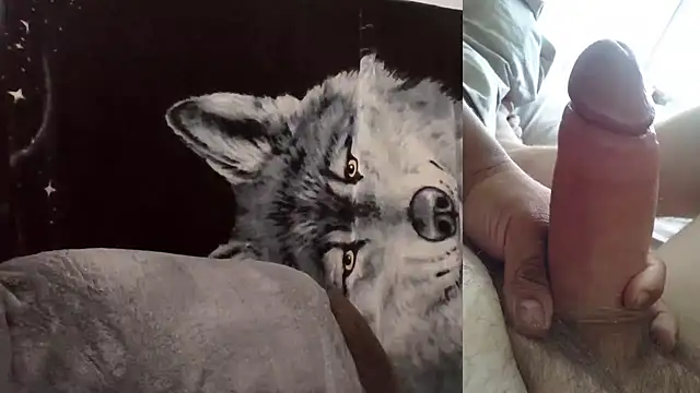 Hornychitown24 online show from 3, 2, 2026