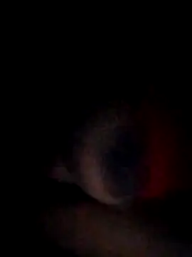 Snapshot of pornstarbrezillian chatting on 15, 11, 2025 pornstarbrezillian online show from 15, 11, 2025