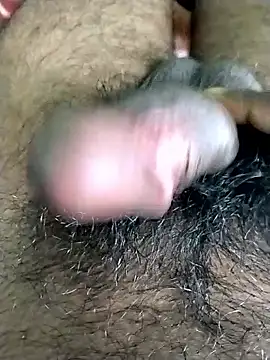 jellydicks online show from 3, 11, 2025